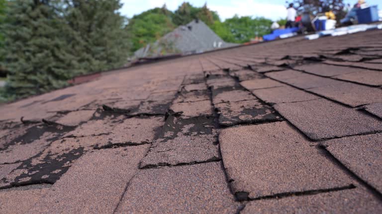 Best Roof Coating and Sealing  in Auburn Hills, MI