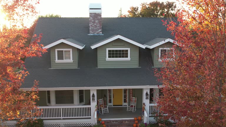 Best Roof Insulation Installation  in Auburn Hills, MI